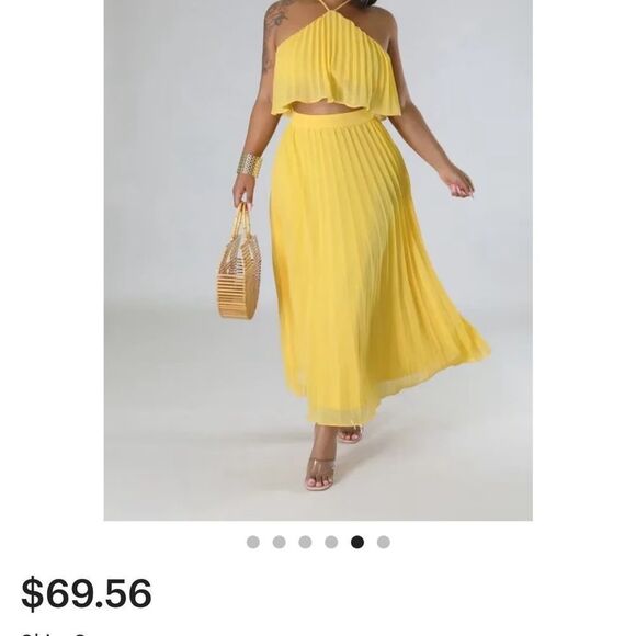 Two Piece Set Pleated Maxi Skirt and Crop Top - Picture 8 of 8